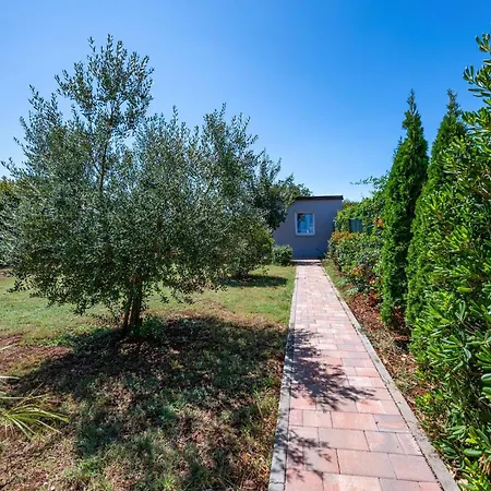 Gorgeous In With Wifi Peroj